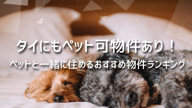 タイにもペット可物件あり!ペットと一緒に住めるおすすめ物件ランキング