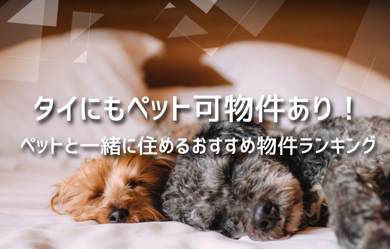 タイにもペット可物件あり！ペットと一緒に住めるおすすめ物件ランキング