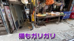 ガリガリの猫
