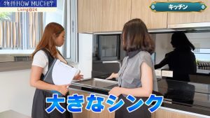 【Living@24】大きなシンクとコンロ