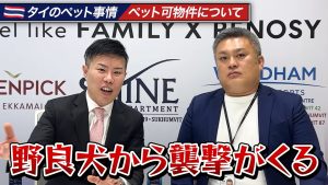 野良犬から襲撃が来る