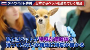 ペットが特殊な病原体を持っていないか確認に時間がかかる