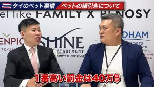 ペットを飼っていた罰金で一番高いのは40万バーツ