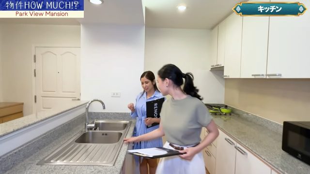 【Park View Mansion】シンク