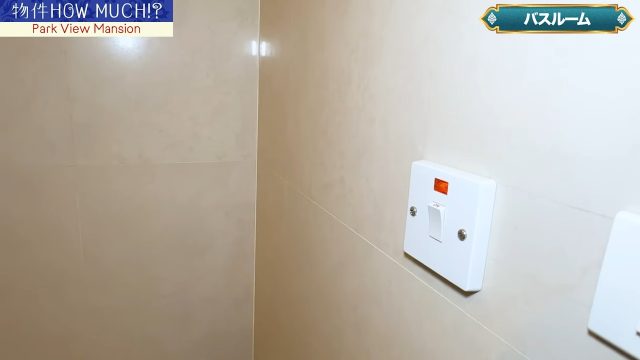 【Park View Mansion】バスルームのスイッチ
