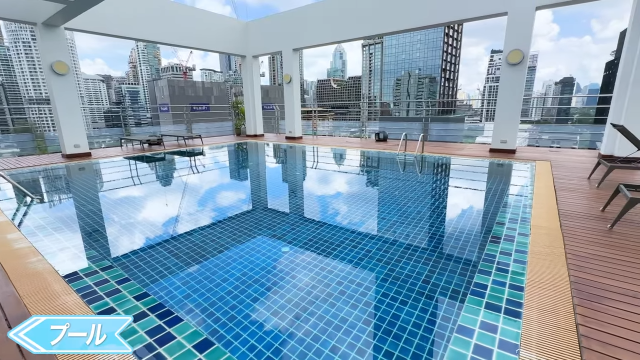 【Park View Mansion】プール
