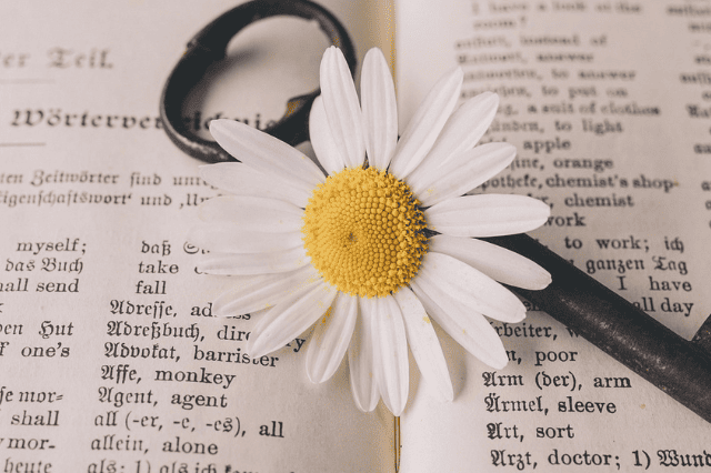 英語の文章が書いてある紙とその上の花