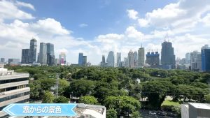 【Park View Mansion】窓からの景色