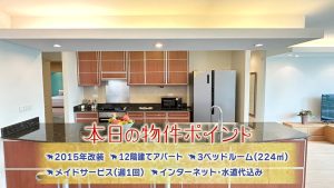 【Park View Mansion】物件ポイント