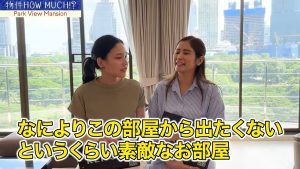 【Park View Mansion】ナビゲーターの感想
