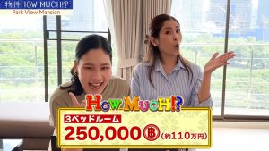 ナビゲーターの予想