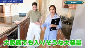 【Park View Mansion】食洗機