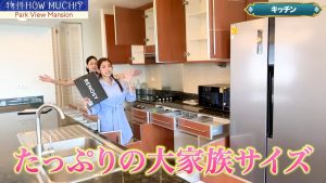 【Park View Mansion】キッチンの収納