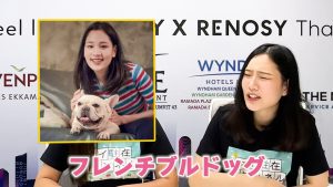 フレンチブルドッグを飼っていると話す、バンビちゃん