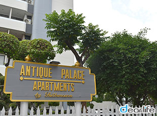 Antique Palace（アンティーク パレス） Other 画像6