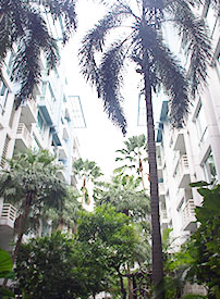 Baan Siri Sukhumvit 10（バーン シリ スクンビット 10） 物件画像