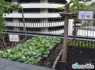 EDGE Sukhumvit 23（エッジ スクンビット23） Other 画像5