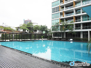 Ficus Lane Condominium（フィカス レーン コンドミニアム） Other 画像6