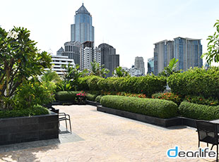 Lohas Residences Sukhumvit（ロハス レジデンス スクンビット） Other 画像9