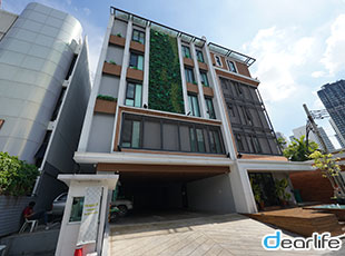 Paragon 31（パラゴン 31） Other 画像5