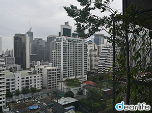 Siamese Exclusive Sukhumvit 31（サイアミーズ エクスクルーシブ スクンビット 31） 2ベッドルーム 69〜85㎡ 画像8