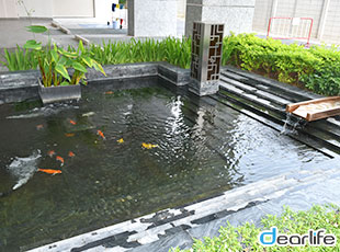 Supalai Oriental Sukhumvit 39（スパライ オリエンタル スクンビット 39） Other 画像12