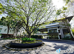 The Park Nine Hotel Srinakarin（(ザ) パーク 9 ホテル  シーナカリン） Other 画像10