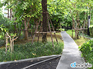 Whizdom Essence Sukhumvit（ウィズダム エッセンス スクンビット） Other 画像13