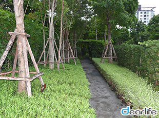 Whizdom Inspire Sukhumvit（ウィズダム インスパイア スクンビット） Other 画像7