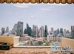 Wilshire（ウィルシャー） 3ベッドルーム 160〜217㎡ 画像24