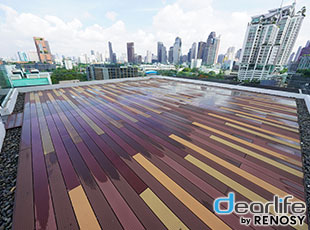 Wyndham Garden Bangkok Sukhumvit 42（ウィンダム ガーデン バンコク スクンビット 42） Other 画像7