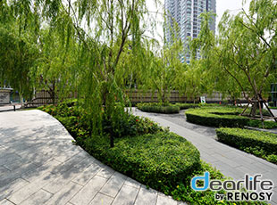 Wyndham Garden Bangkok Sukhumvit 42（ウィンダム ガーデン バンコク スクンビット 42） Other 画像21