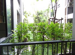 Zenith Place Sukhumvit 42（ゼニス プレイス スクンビット 42） Other 画像5