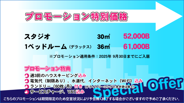 お得なプロモーション！ 