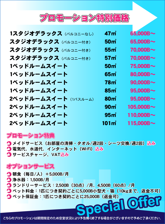 お得なプロモーション！